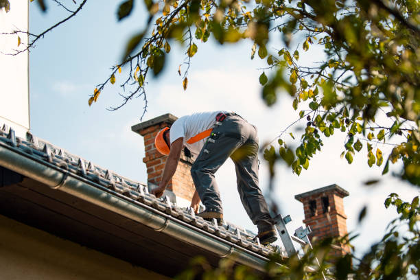 Roofing Contractor